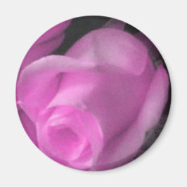 Rosa Bud 2 1/4 Zoll Magnet