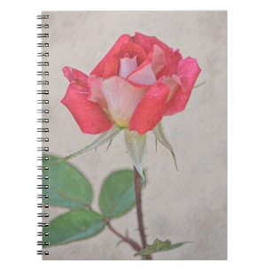 Rosa Bud Art von Gertie's Garden Notizblock