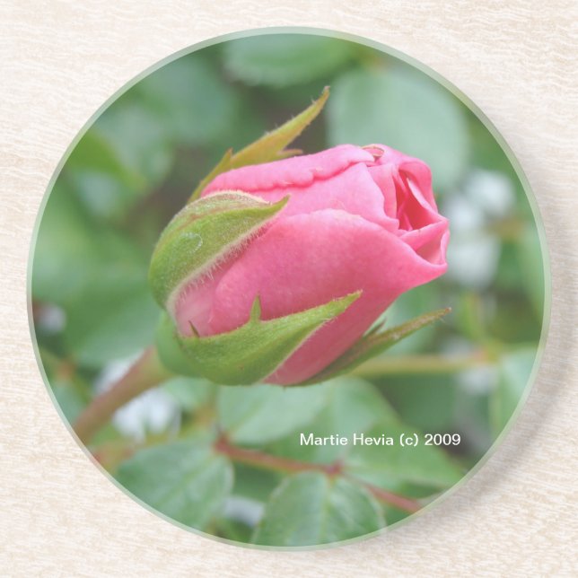Rosa Bud - Untersetzer (Vorne)