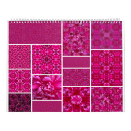 Rosa Cabbage-Rose Kalender