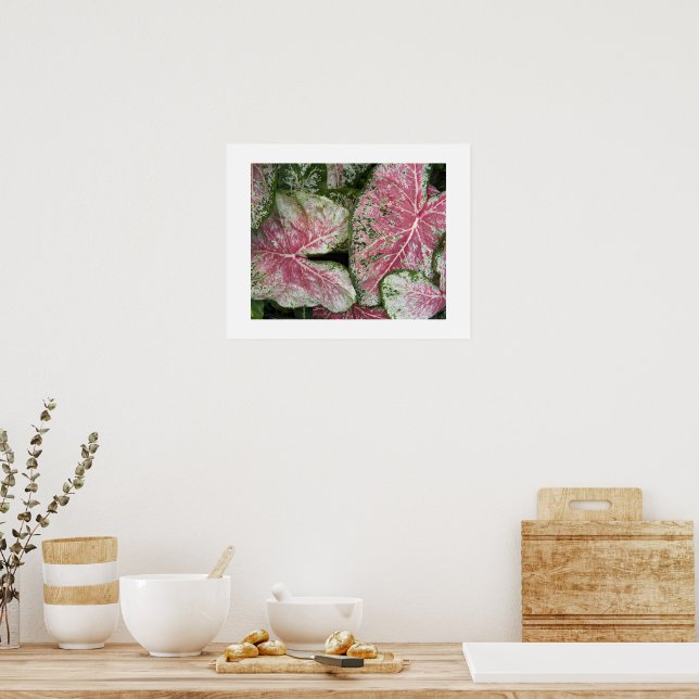Rosa Caladium-Blätter Poster (Küche)