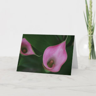 Rosa Calla-Lilie Karte