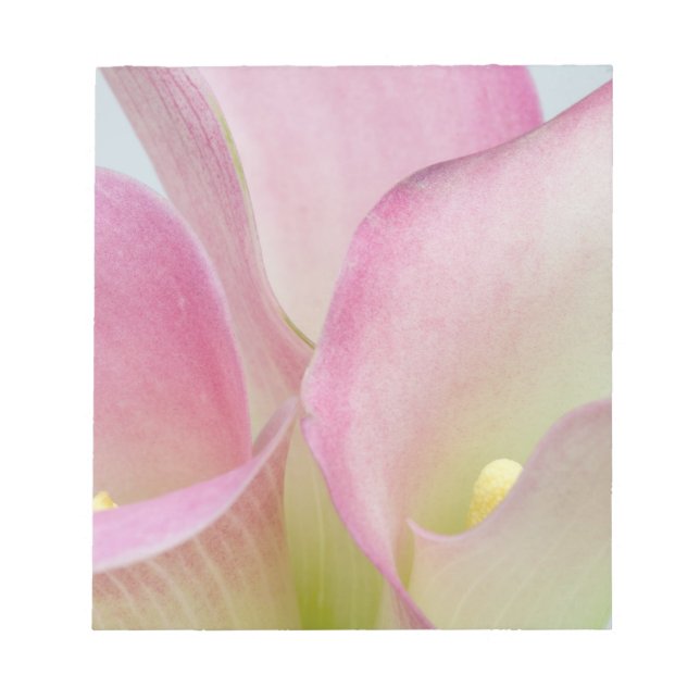 Rosa Calla-Lilien Notizblock (Vorderseite)