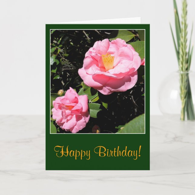 Rosa Camellia Geburtskarte Karte (Vorderseite)