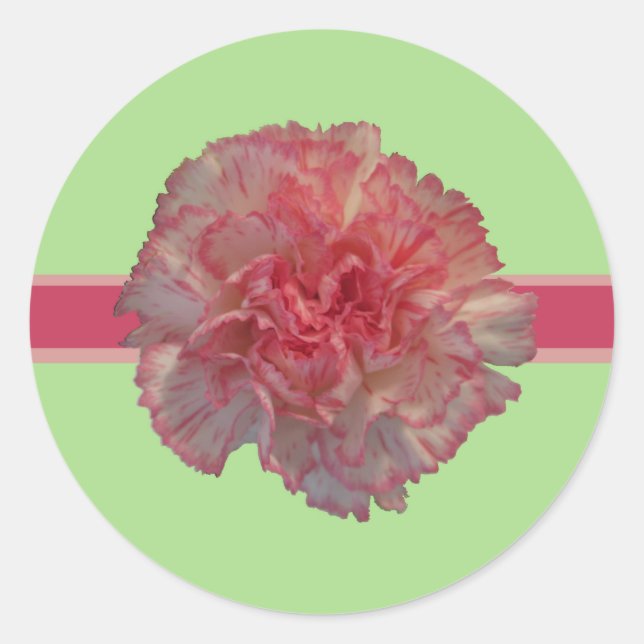 Rosa Carnation-Umschlag Aufkleber (Vorderseite)