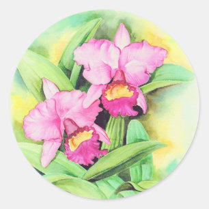 Rosa Catleya Orchideen-Blumen-Kunst - multi Runder Aufkleber