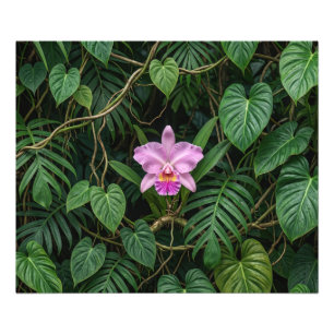 Rosa Cattleya-Orchidee in tropischen Dschungelblät Fotodruck