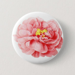 Rosa Centifolia-Blume im Shabby-Chic-Stil Button