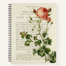 Rosa centifolia Notebook II Notizbuch