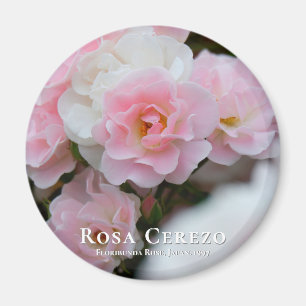 Rosa Cerezo グ ネ Magnet