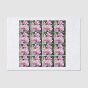 rosa Chintz decoupage Orchidee mit 16 Aquarellen Seidenpapier