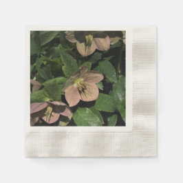 Rosa Christrose Serviette