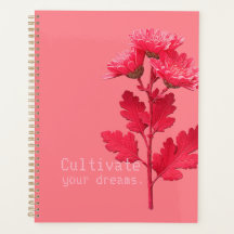 Rosa Chrysantheme