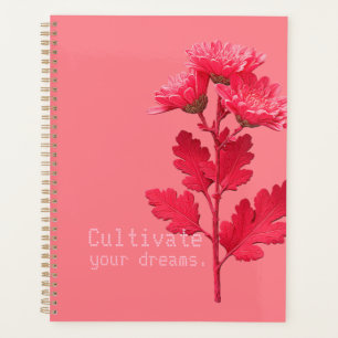 Rosa Chrysantheme Planer