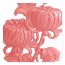Rosa Chrysanthemum