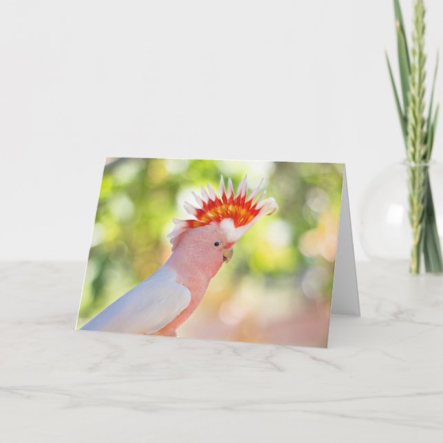 Rosa Cockatoo mit Liebe-Feuer Mohikaner Karte (Vorderseite)