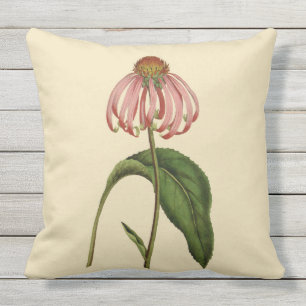Rosa Coneflower botanisches Kissen im Freien20" x Für Draußen