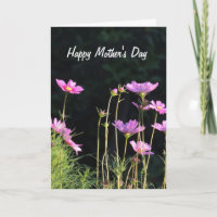 Rosa Cosmos-Muttertagskarte