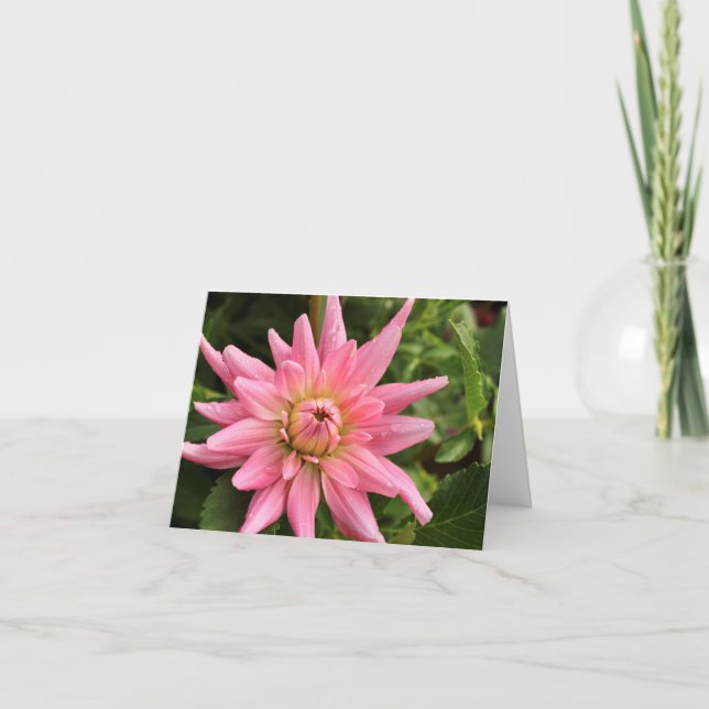 Rosa Dahlia 4x6 - Anmerkung Karte (Vorderseite)