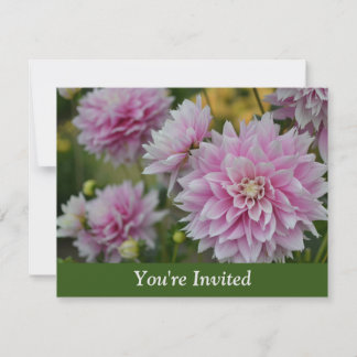 Rosa Dahlia Blume bei RHS Garden Überraschung Gebu Einladung