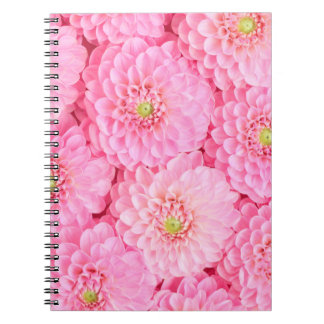 Rosa Dahlia Blume Hintergrund. Top-Ansicht. Notizblock