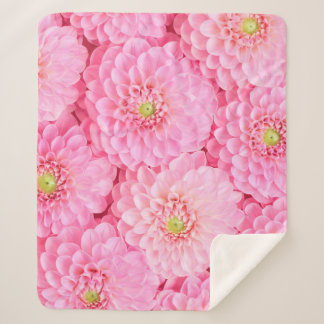 Rosa Dahlia Blume Hintergrund. Top-Ansicht. Sherpadecke