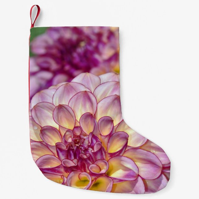 Rosa Dahlia-Blume Kleiner Weihnachtsstrumpf (Vorderseite)