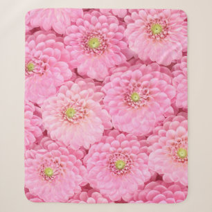Rosa Dahlia: Blume Top View Sherpadecke