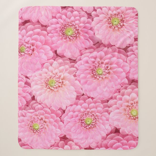 Rosa Dahlia: Blume Top View Sherpadecke (Vorderseite)