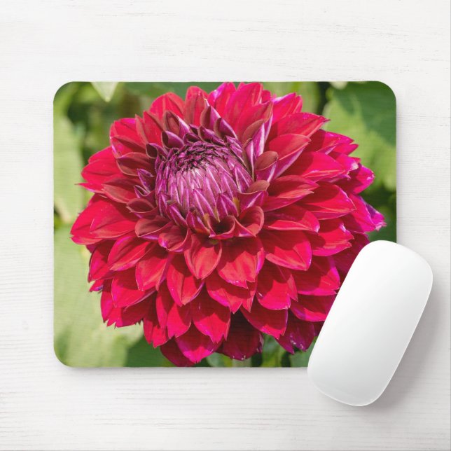 Rosa Dahlia, schöne Blumenfotografie Mousepad (Mit Mouse)