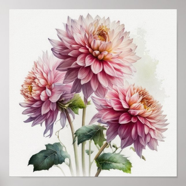 Rosa Dahlias Blume Art Print Poster (Vorne)