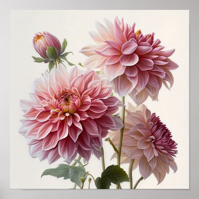 Rosa Dahlias Blume Art Print Poster (Vorne)