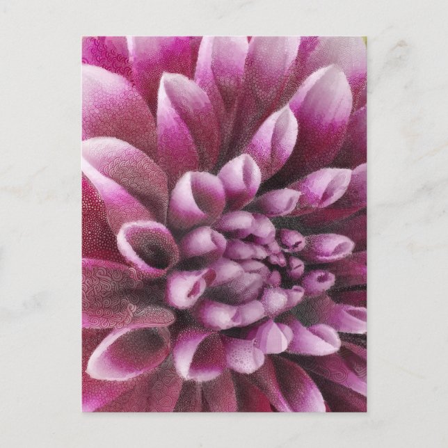 Rosa Dahlie Postkarte (Vorderseite)
