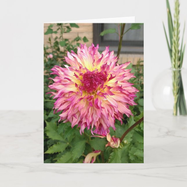 Rosa Dahlienkarte Karte (Vorderseite)