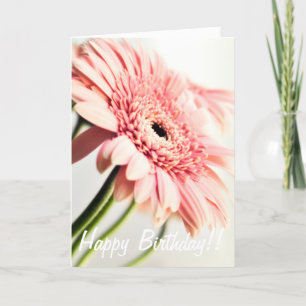 Rosa Daisy Birthday Card Karte