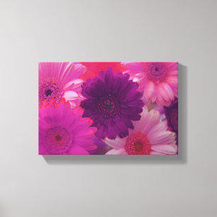 Rosa Daisy Blume Foto Leinwand Wine tasting in der