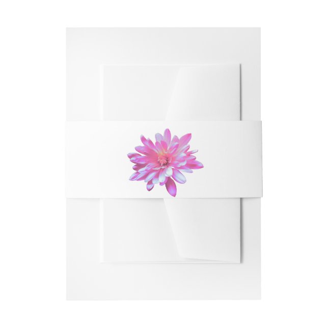 Rosa Daisy Rosa Blume Einladungsbanderole (Vorderseite Beispiel)
