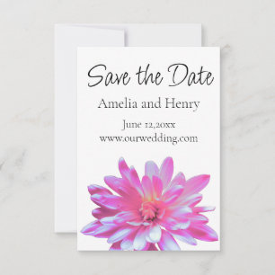 Rosa Daisy Rosa Blume mit Blumenfarbe Save the Dat Date