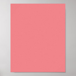 Rosa Daisy, Rosa Rose, Rosa Sherbet, Poster