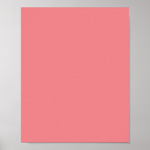 Rosa Daisy, Rosa Rose, Rosa Sherbet, Poster