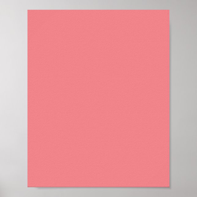Rosa Daisy, Rosa Rose, Rosa Sherbet, Poster (Vorne)