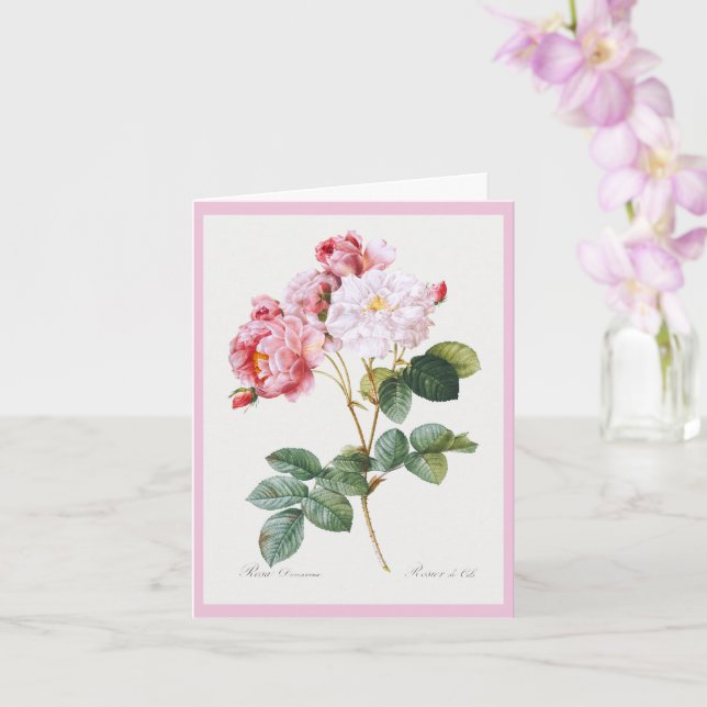 Rosa Damascena, Glückwunsch zum Geburtstag Karte (Orchidee)