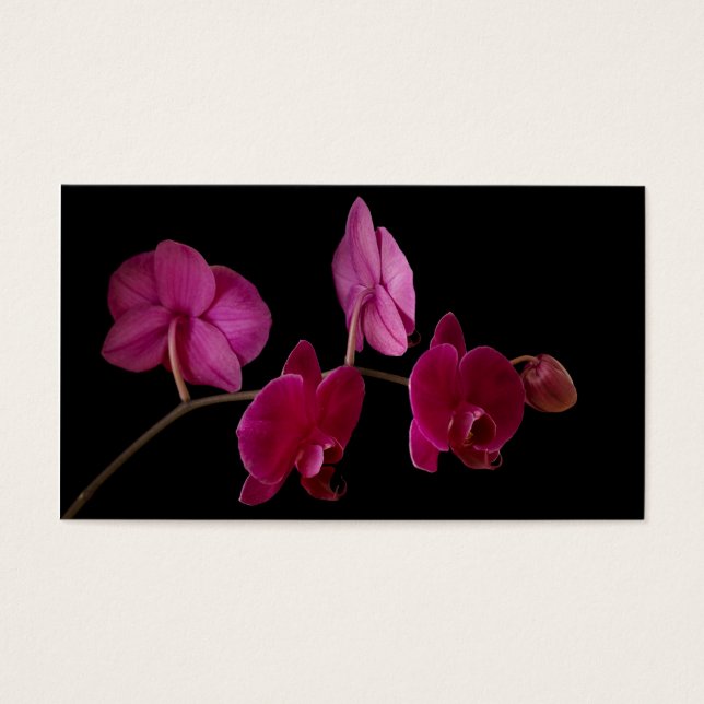 Rosa Dendrobium Orchid auf Schwarz - Maßgeschneide (Vorderseite)