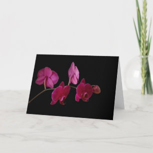 Rosa Dendrobium Orchid auf Schwarz - Maßgeschneide Karte