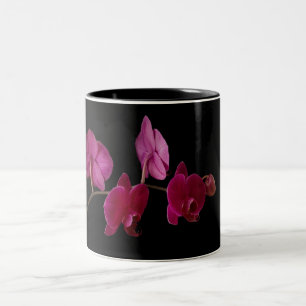 Rosa Dendrobium-Orchidee auf dem Schwarzen - Zweifarbige Tasse