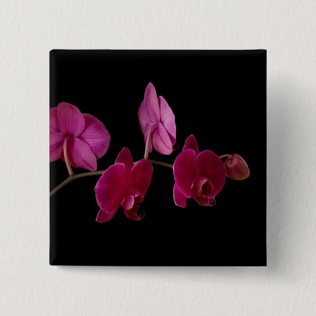 Rosa Dendrobium-Orchidee - kundengebundene Blumen Button (Vorderseite)