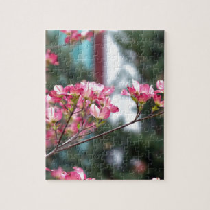 Rosa Dogwood