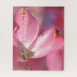 Rosa Dogwood-Blume