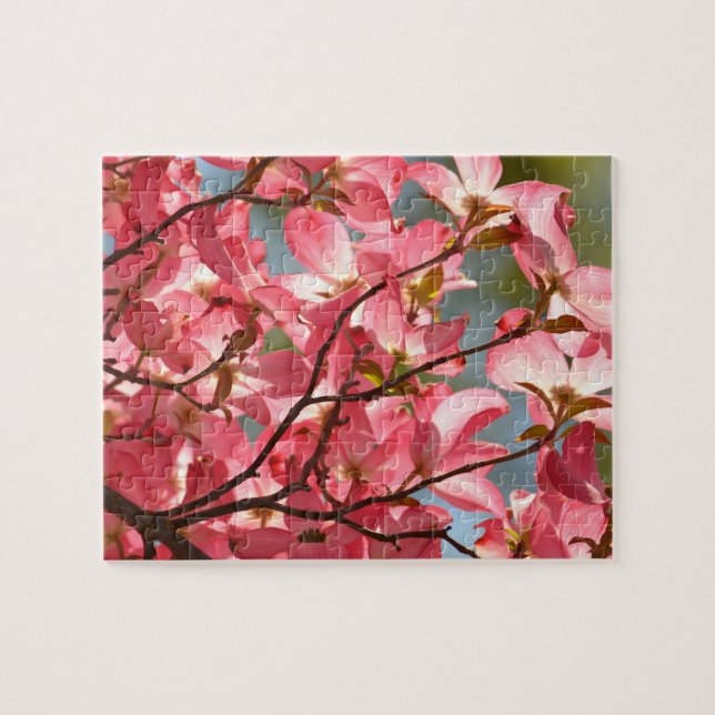 Rosa Dogwood-Blume (Horizontal)