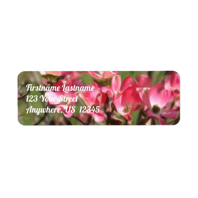 Rosa Dogwood-Blume blüht Maladresse (Vorne)